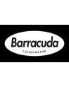 Barracuda